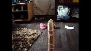 Коварче шокшо ебля