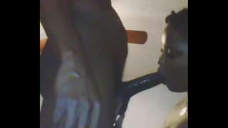 укшвлӓ нима яжожат уке, тӹ лаштыквлӓм качкын яратымы